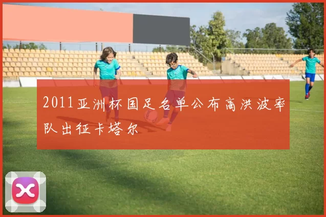 2011亚洲杯国足名单公布高洪波率队出征卡塔尔