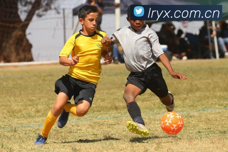 App Interface Preview